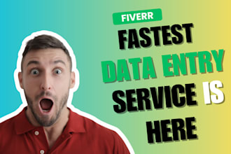 do data entry, web research, convert pdf to word, ms, excel data entry