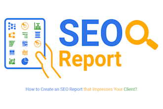 create a professional SEO audit report