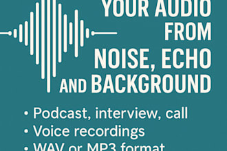 clean your audio from noise, echo and background