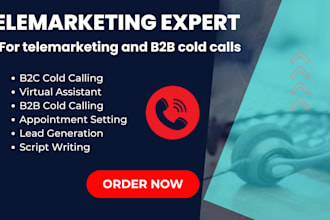 do telemarketing virtual assistant b2b cold calling appointment setting