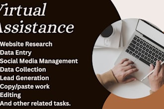 be virtual assistant for big data entry jobs, web research
