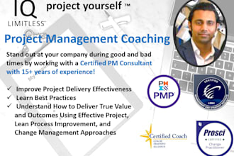 offer project and change management consulting