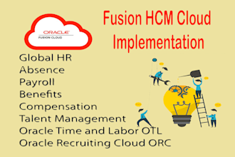 provide oracle fusion cloud erp implementation services and go live support