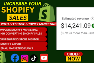 be your dropshipping mentor shopify expert  shopify manager dropshipping coach