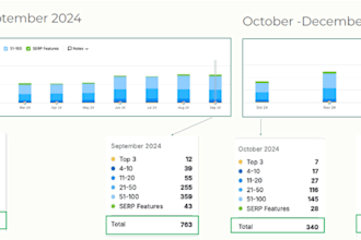 audit and optimize your website with detailed recommendations