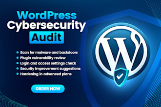 audit your wordpress site for malware and security issues