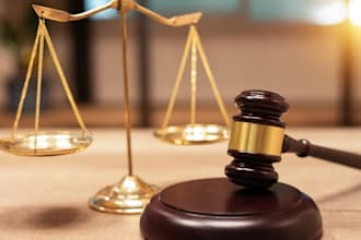 do legal consulting investments assets criminal civil immigration USA