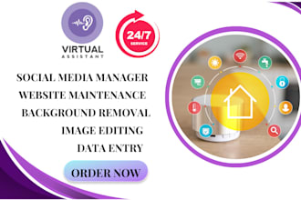 be your virtual assistant data entry background removal and editable proposify