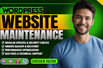 be your wordpress website manager for maintenance, help, and speed optimization