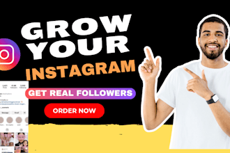 promote fast instagram organic growth to increase followers and engagement