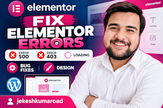 fix elementor error, elementor bug, elementor issue, server error, not loading