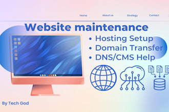 set up hosting, transfer domain, fix dns, and install cms professionally