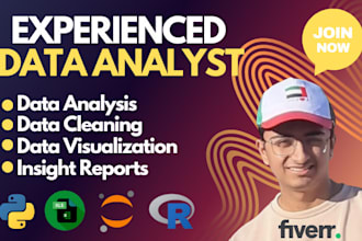do data cleaning, data analysis, and visualization in python or excel
