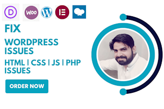 fix wordpress issues, errors, bugs, css, provide wp help