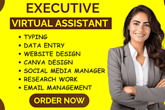 be long term social media virtual assistant personal executive virtual assistant