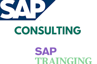provide you consultancy in functional modules fi, co, sd, pp
