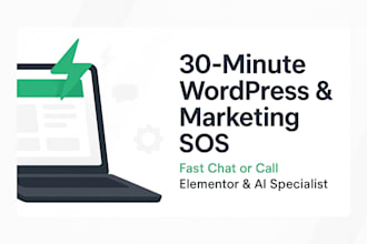 30 minute wordpress and marketing sos fast chat or call