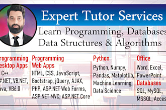 be your python and c sharp programming tutor