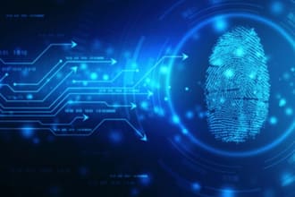 conduct digital forensics, data recovery, and cyber crime investigations