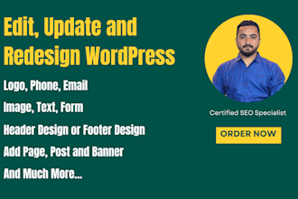 upload content, blog posts as a wordpress virtual assistant