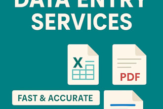 do accurate excel ata entry and copy paste tasks