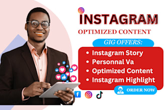 create 30 days instagram feed 4 brand story and instagram highlight segmentation