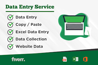 do accurate and fast data entry, web research and copy paste work