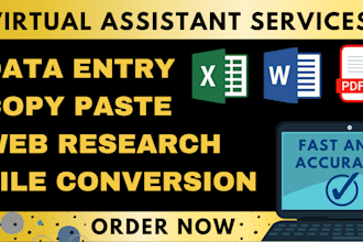 do data entry, typing, copy paste and convert files