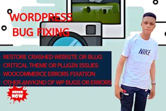 provide wordpress support, fixes, and maintenance services