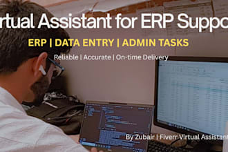 be your professional virtual assistant for erp, data entry, and admin tasks