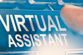 be your professional virtual assistant for data entry, erp, and admin tasks