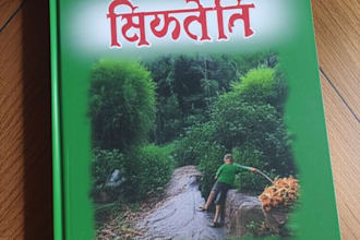 manually translate novels, stories, or books hindi english