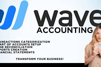 do accounting, bookkeeping and reporting  by using wave app