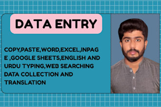 do data entry,typing work ,copy paste and pdf converting