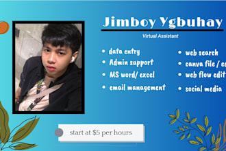 be your virtual assistant for data entry and admin tasks