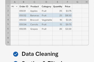 clean, format, and organize your excel or spreadsheet data professionally