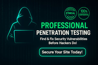 website penetration testing and security assessment