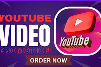 promote your youtube channel organically and shoutout to my 1m active audiences