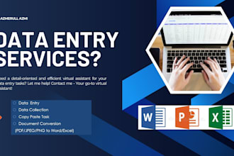 professional data entry, data cleaning, file conversion