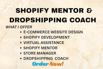 be shopify mentor drop shipping coach shopify sales manager business consultant