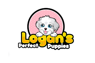 create exclusive and marvelous pet logo design
