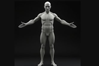 craft realistic 3d head, bust and full body model