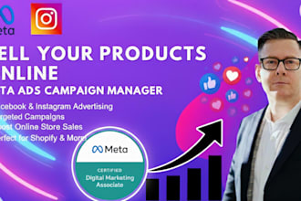 facebook instagram meta ads campaign manager, fb advertising, marketing expert