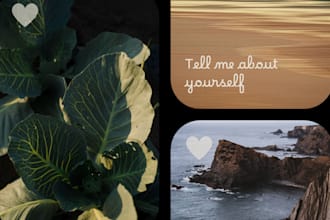write a soft or quirky about me for your profile