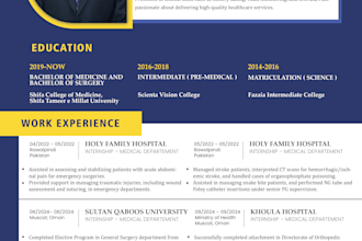 create a attractive CV resume