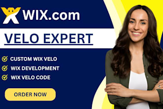 build, customize, or fix your wix website using velo code and javascript
