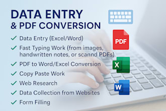 do fast and accurate data entry typing and file conversion