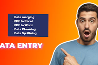 data entry services PDF to excel, word,data cleaning, data splitting