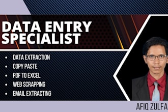 do professional and efficient data entry
