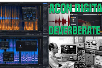 remove noise, clean up, repair, fix, edit, loop any audio or voice over